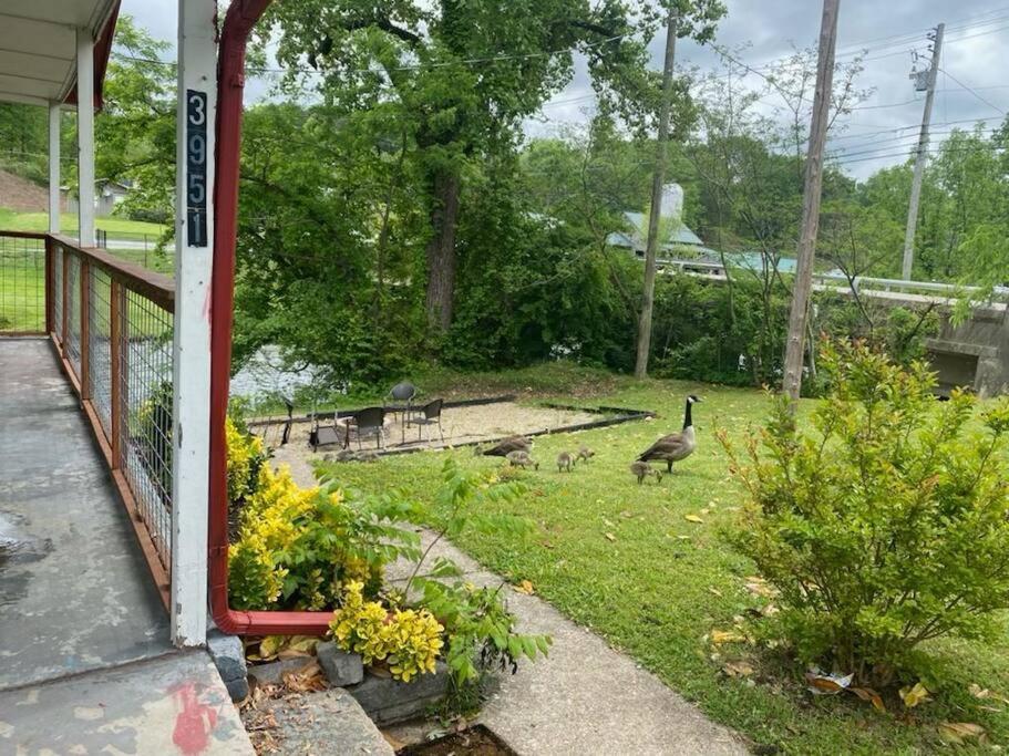 Cabin Inpigeon Forge On The River Villa Eksteriør bilde